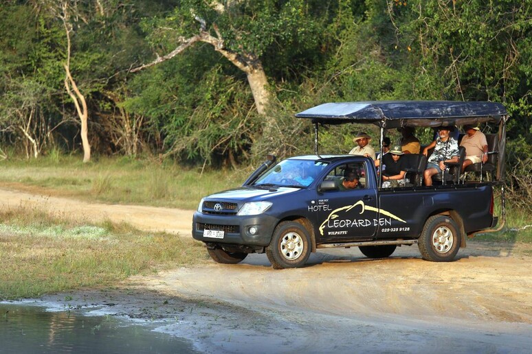 kenya.jpg